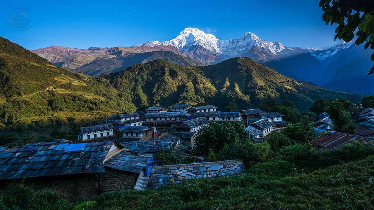 Ghorepani-Poonhill Trek